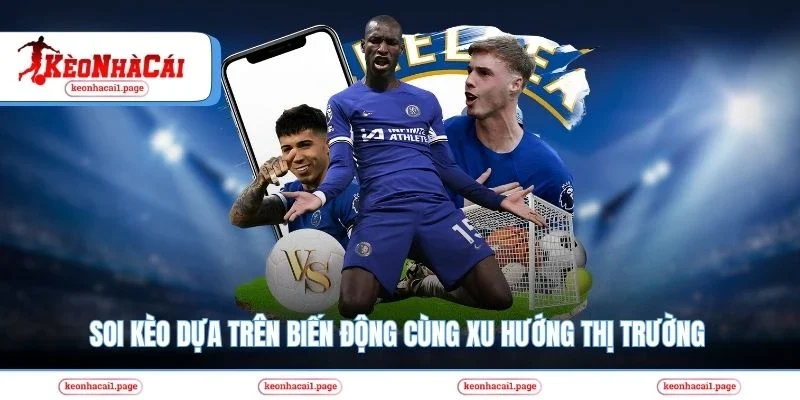 Soi kèo dựa trên biến động cùng xu hướng thị trường