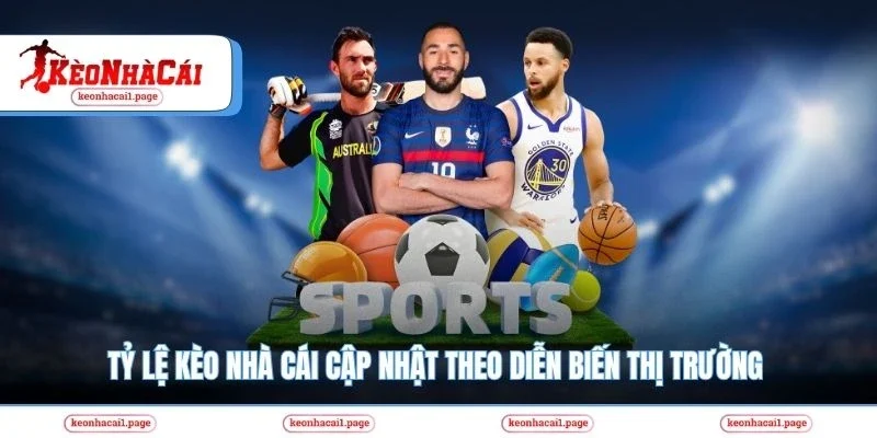 Tỷ lệ kèo nhà cái cập nhật theo diễn biến thị trường