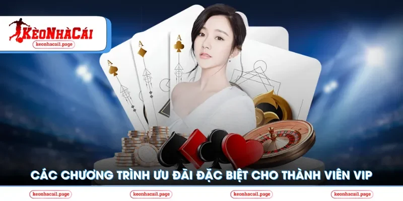 Các chương trình ưu đãi đặc biệt